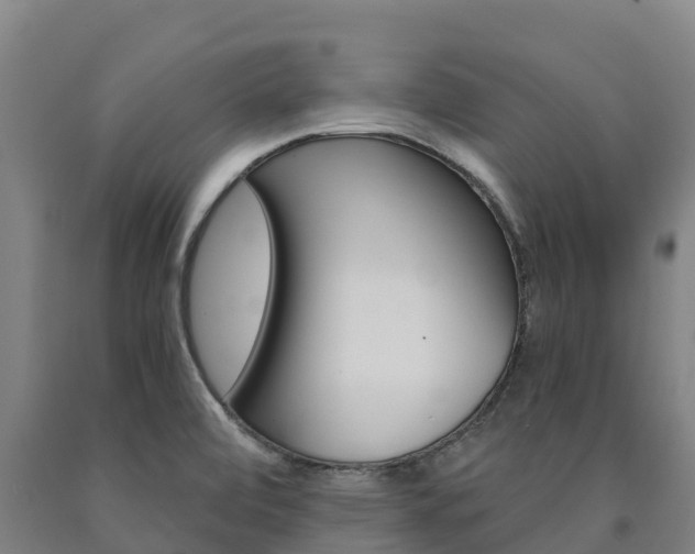 X0000090921472200707301043