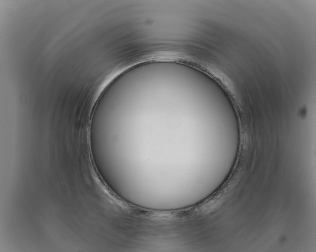 X0000090921473200707301043