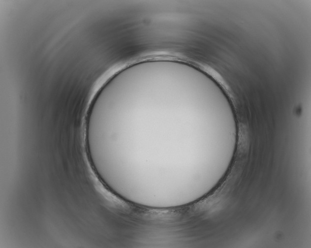 X0000090921474200707301043