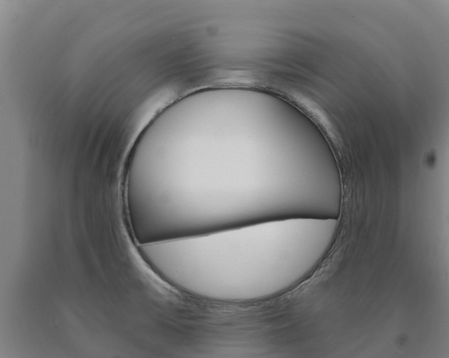 X0000090921475200707301043