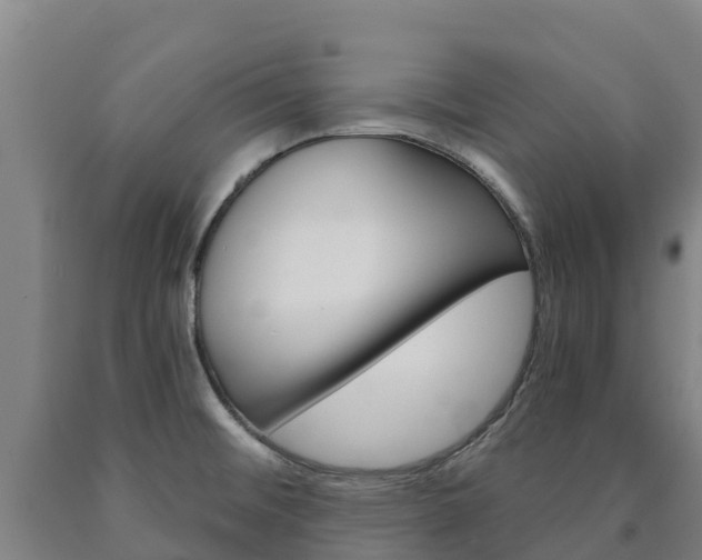 X0000090921476200707301043