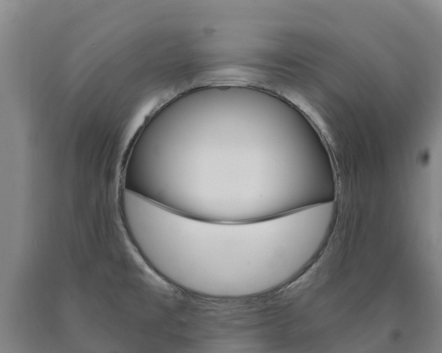 X0000090921477200707301043