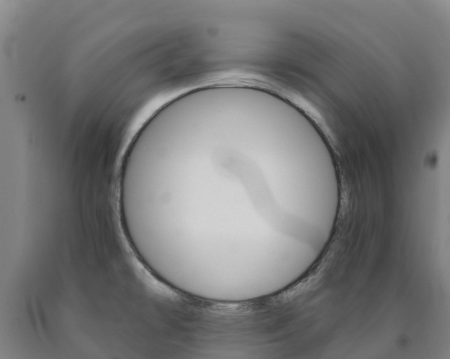 X0000090921478200707301043