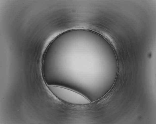 X0000090921480200707301043