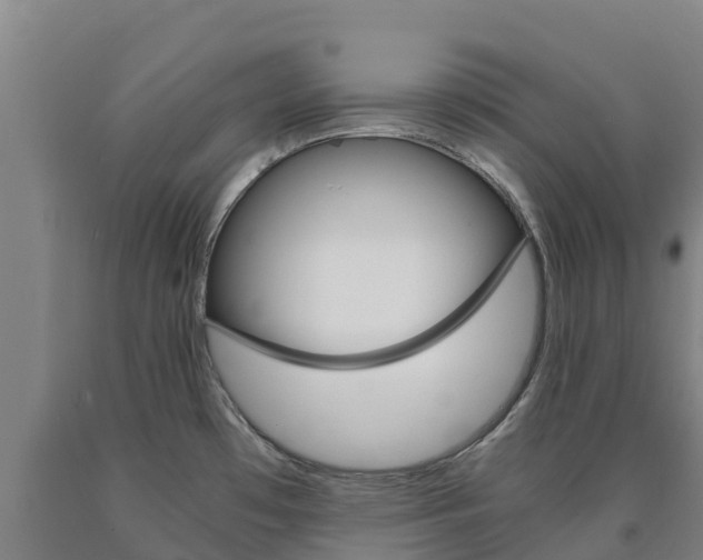 X0000090921481200707301043