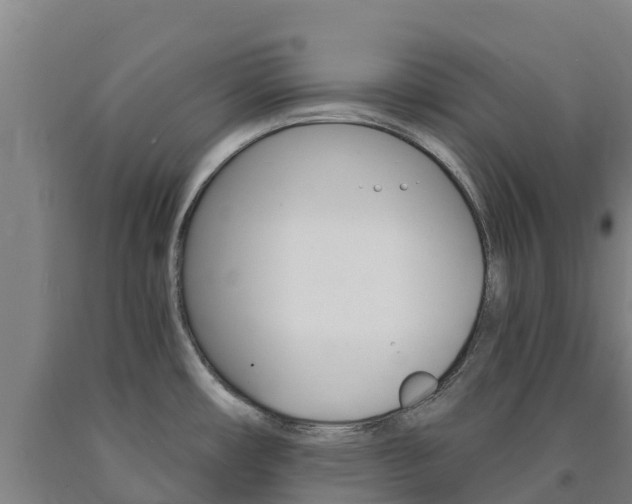 X0000090921482200707301043
