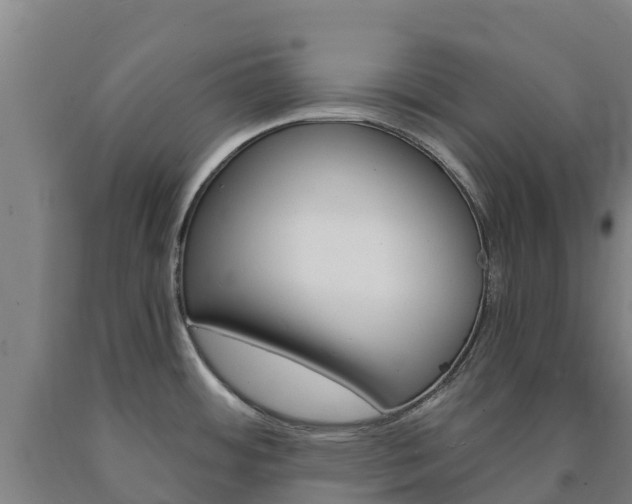 X0000090921484200707301043