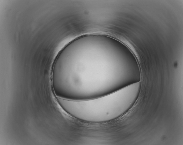 X0000090921485200707301043