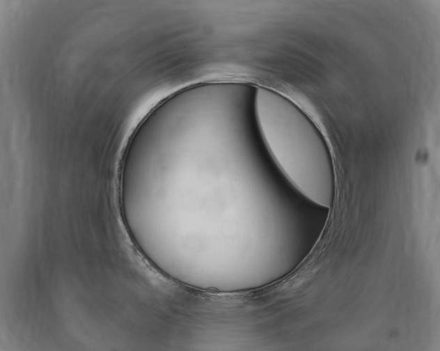 X0000090921488200707301043