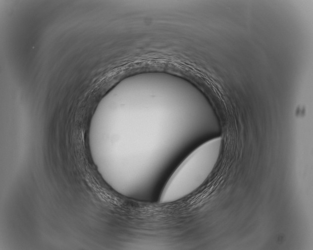 X0000090921489200707301043
