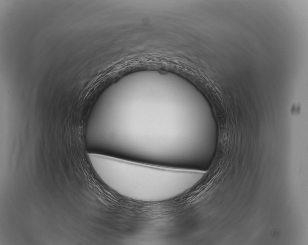 X0000090921490200707301043