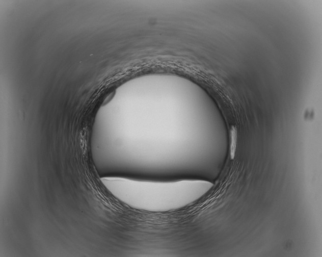 X0000090921491200707301043