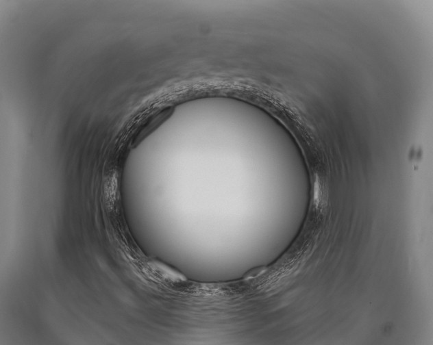 X0000090921492200707301043
