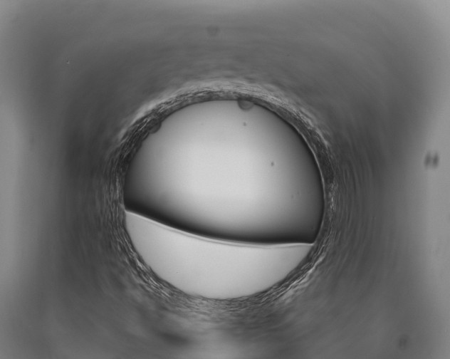X0000090921494200707301043