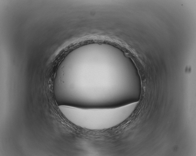 X0000090921495200707301043