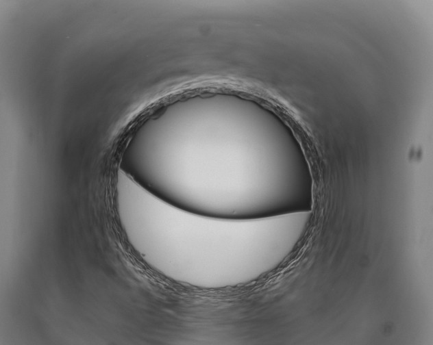 X0000090921496200707301043