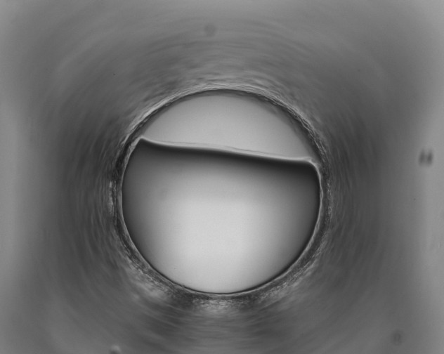 X0000090921497200707301043