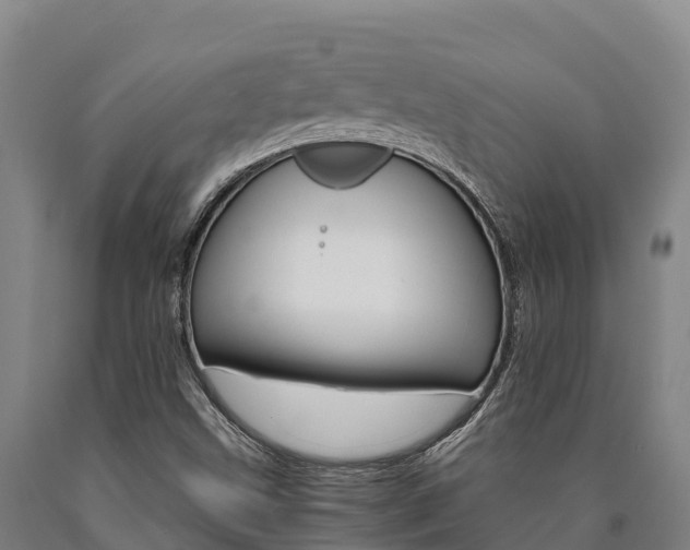 X0000090921499200707301043