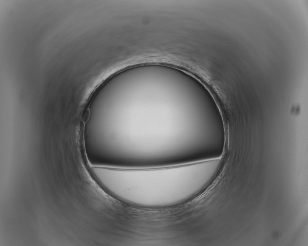 X0000090921500200707301043