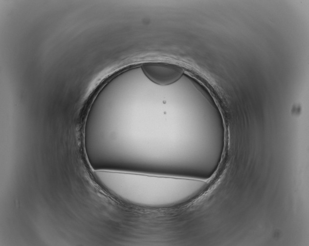 X0000090921501200707301043