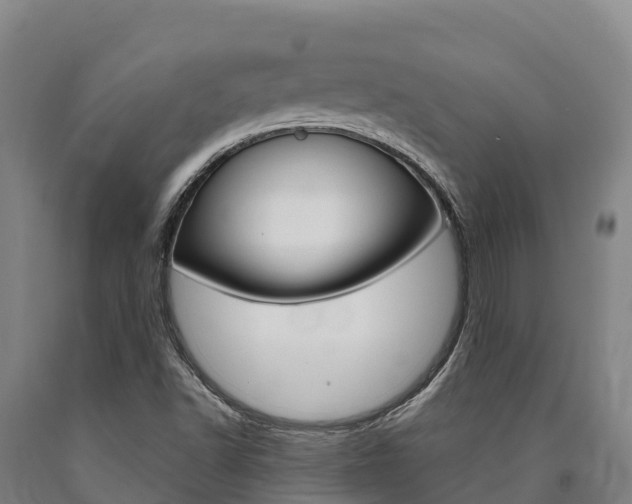 X0000090921502200707301043