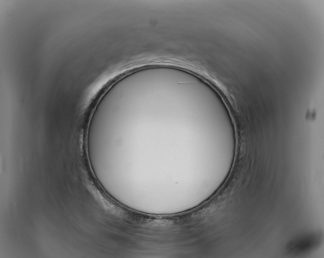 X0000090921503200707301043