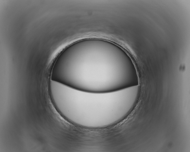 X0000090921504200707301043