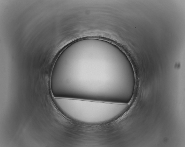X0000090921505200707301043