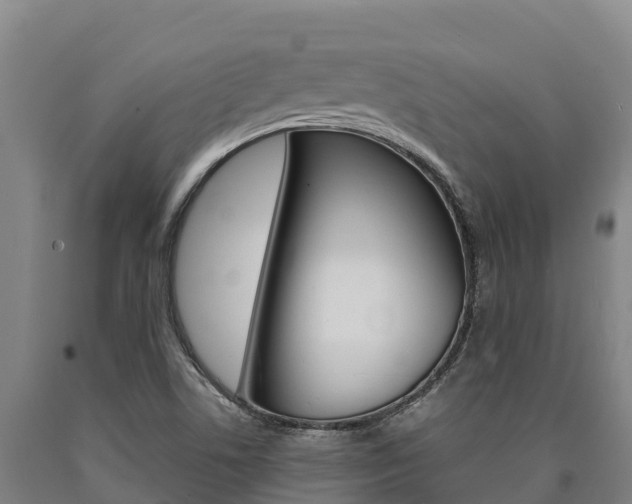 X0000090921506200707301043