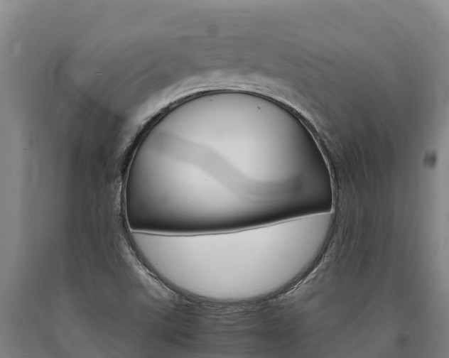 X0000090921507200707301043