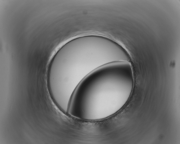 X0000090921508200707301043