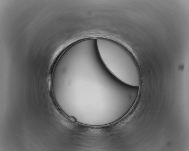 X0000090921509200707301043