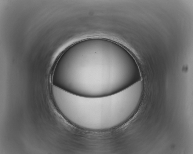 X0000090921510200707301043