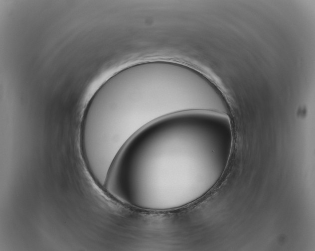 X0000090921512200707301043