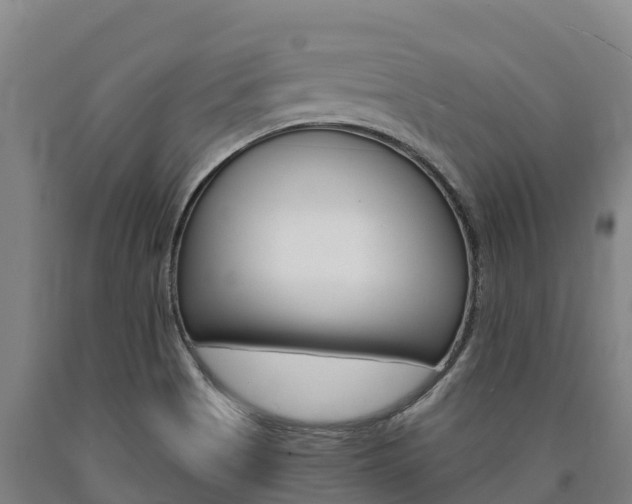 X0000090921513200707301043