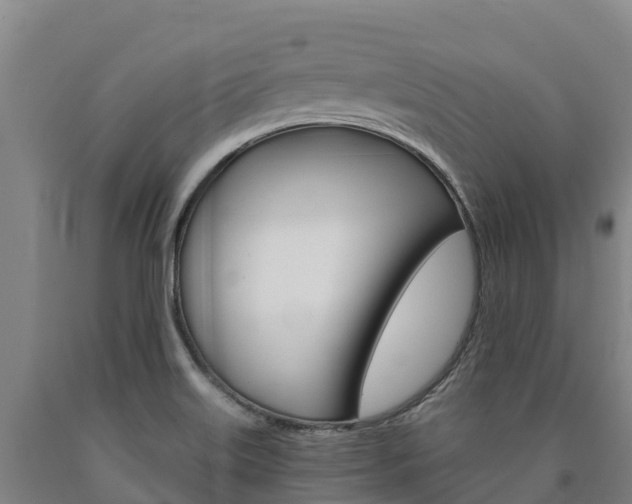 X0000090921515200707301043