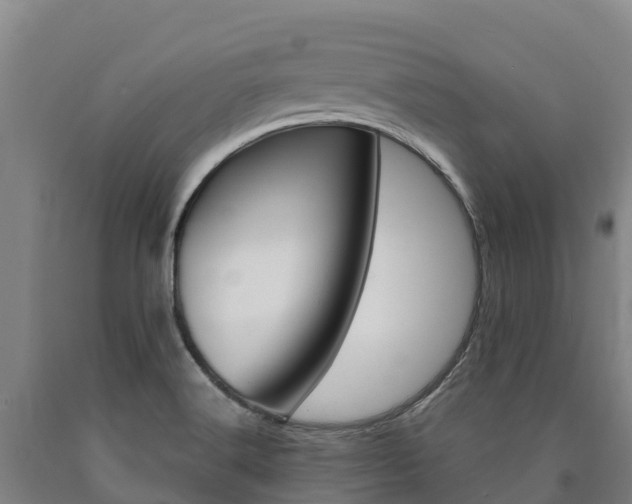 X0000090921516200707301043
