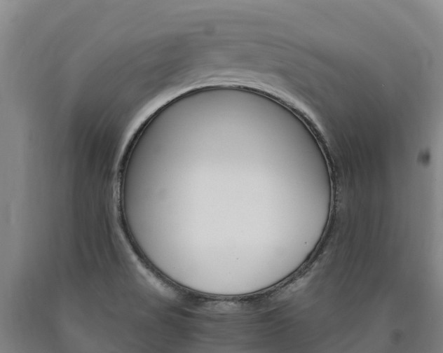 X0000090921517200707301043