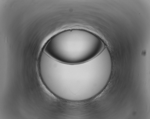 X0000090921518200707301043