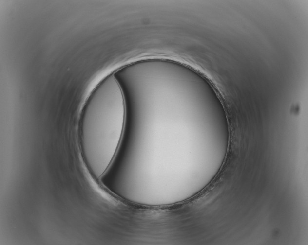 X0000090921519200707301043