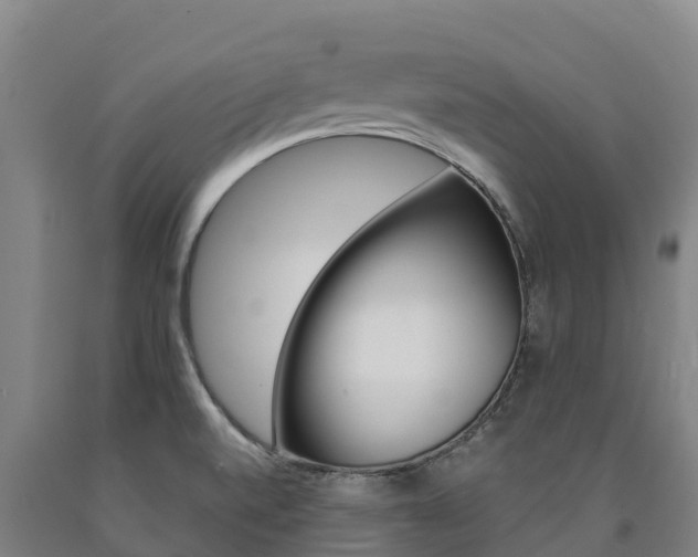 X0000090921520200707301043