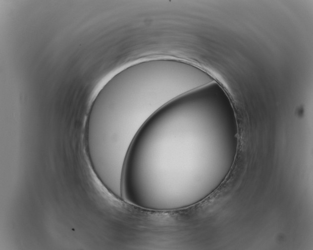 X0000090921524200707301043