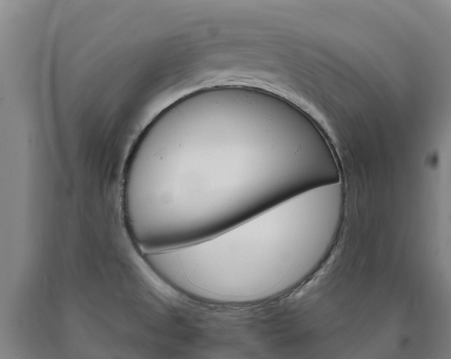 X0000090921525200707301043