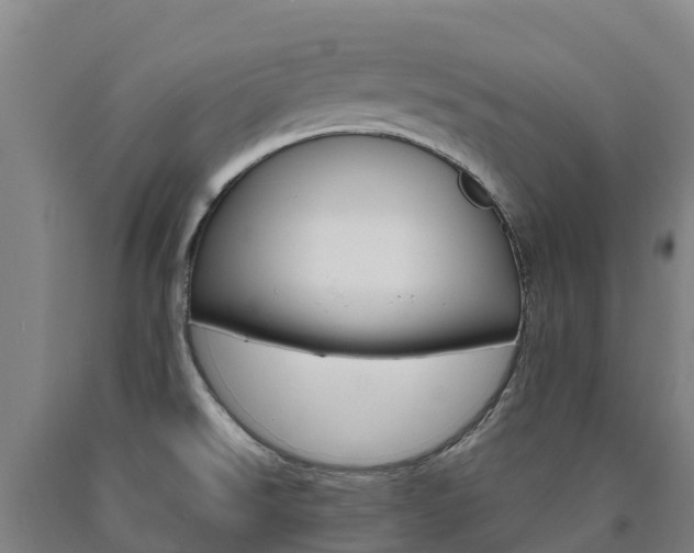 X0000090921526200707301043
