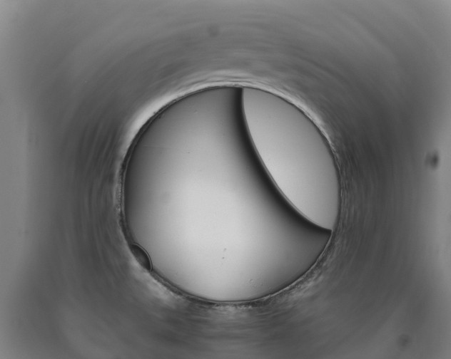 X0000090921527200707301043