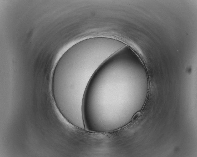 X0000090921528200707301043
