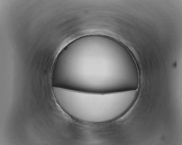 X0000090921529200707301043