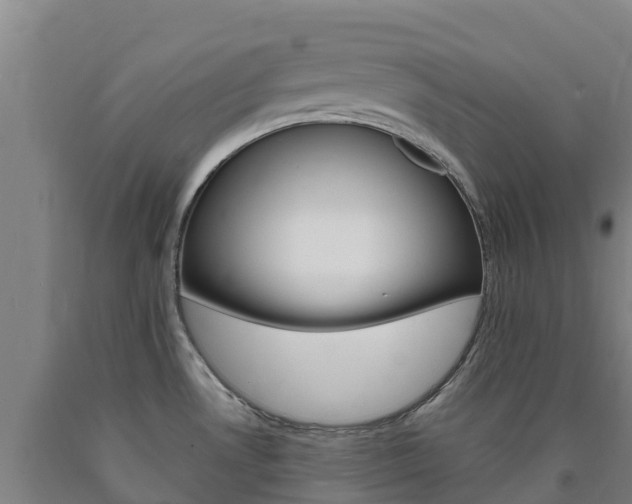 X0000090921530200707301043