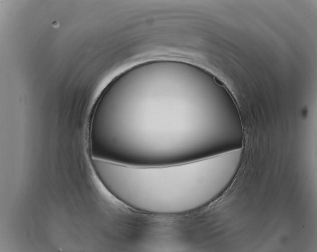 X0000090921531200707301043