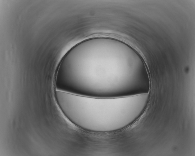 X0000090921533200707301043